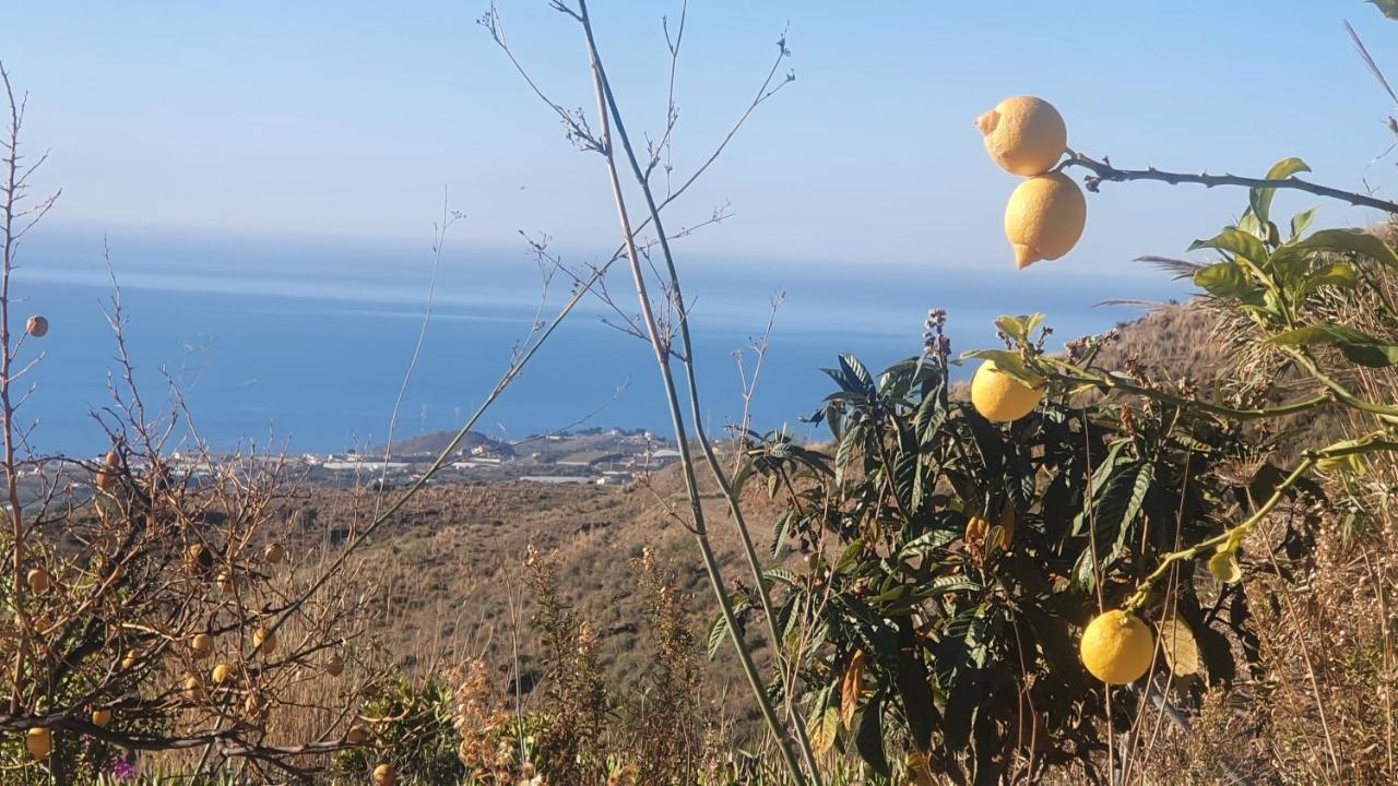 Finca Esperanza Costa Del Sol Sayalonga Bagian luar foto